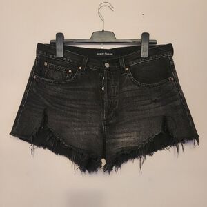 Aritzia Denim Forum the Ex-boyfriend shorts,black wash, 30‎